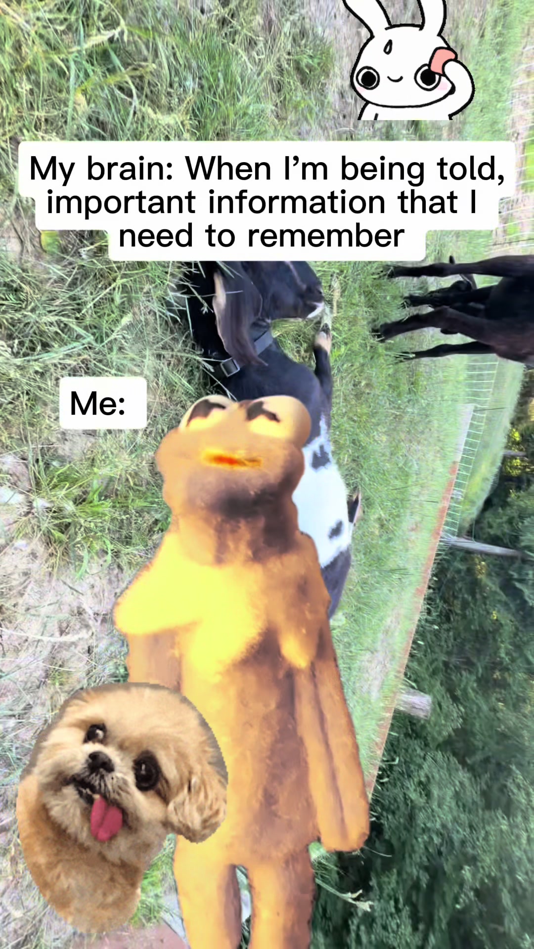 @Danielle L