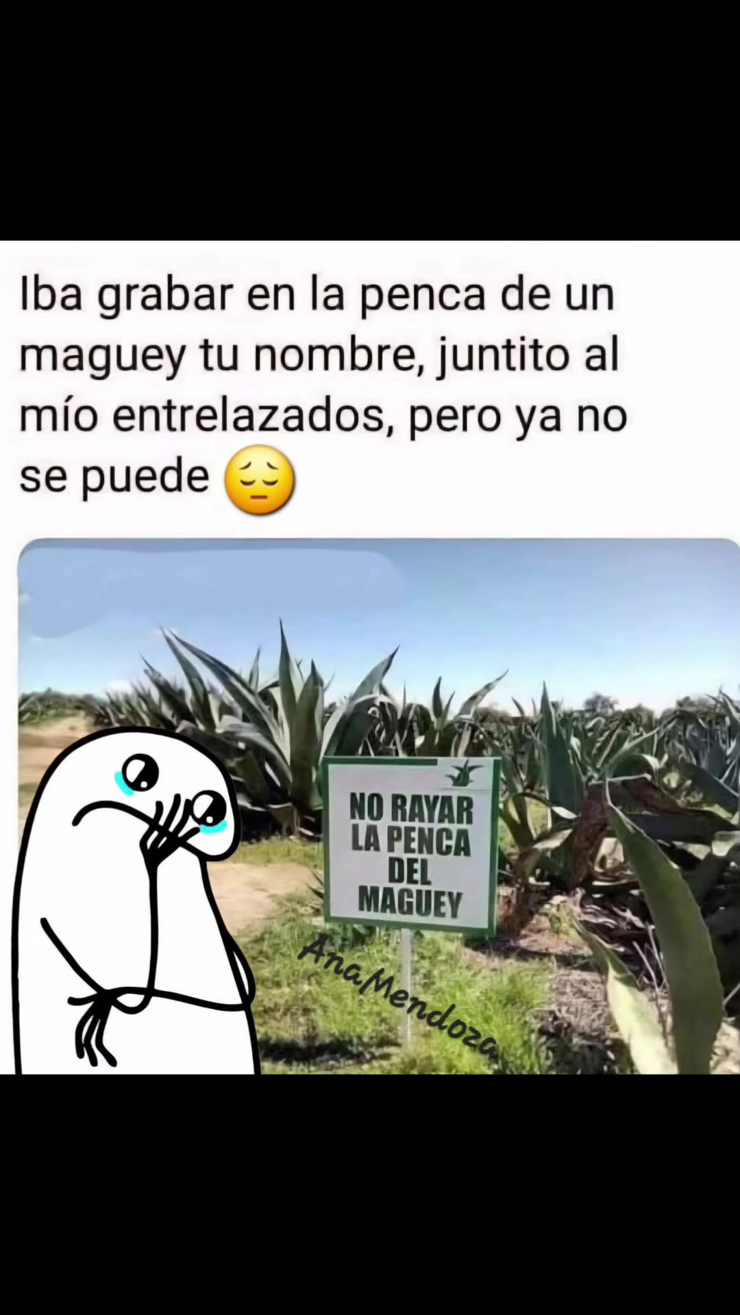 @Franz mejicanos