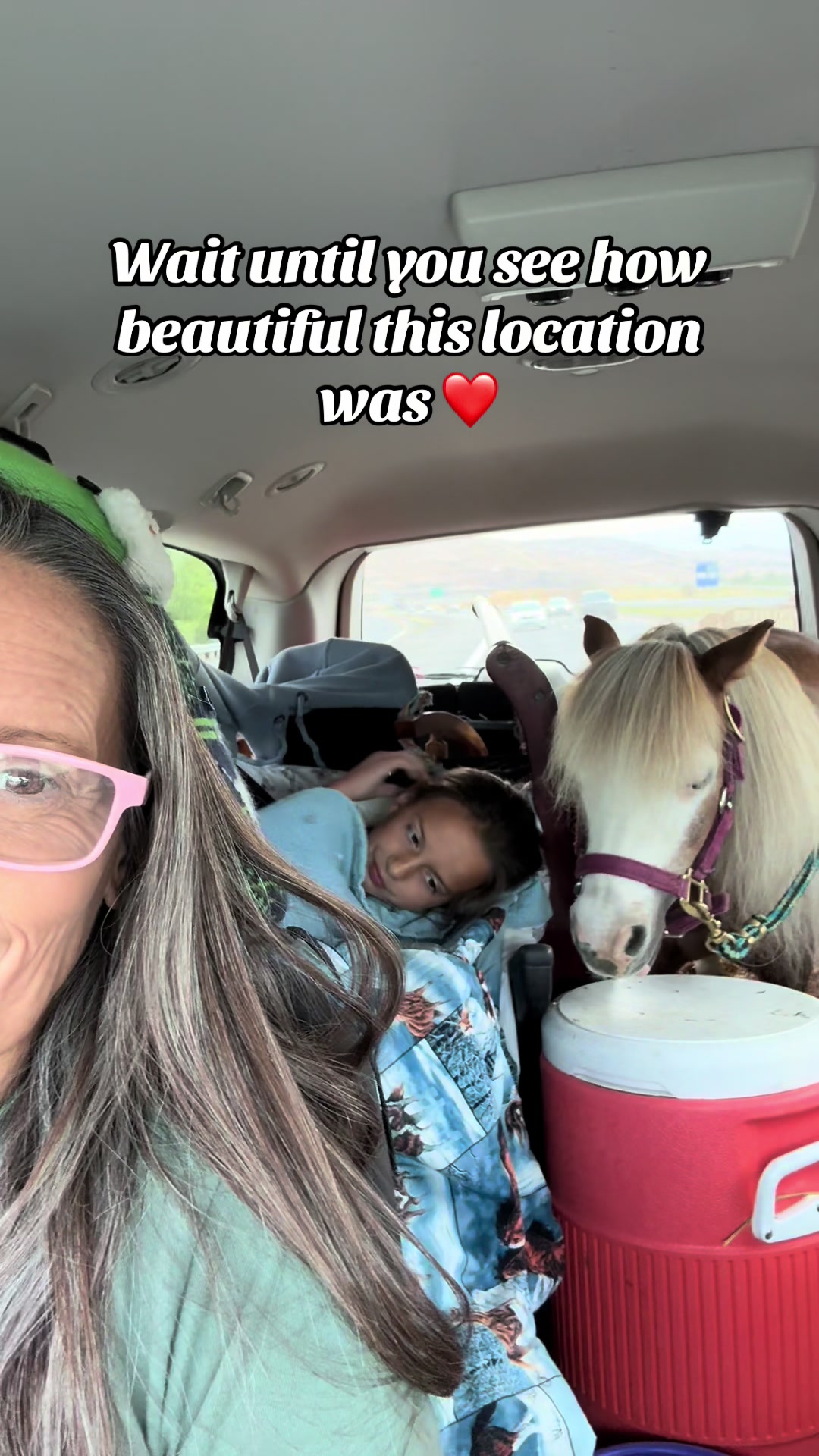 @Hot Sauce the Mini horse 🐎
