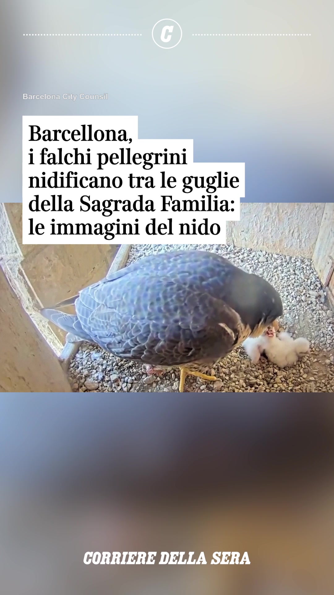 @Corriere della Sera