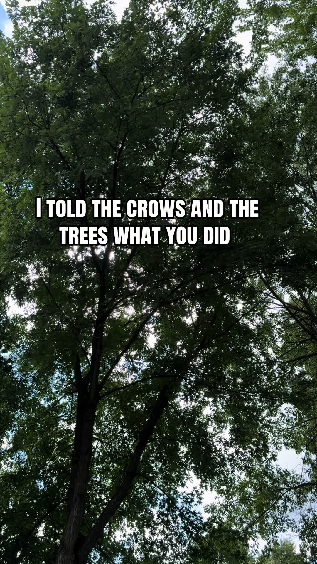 @katecomeswithchaos
