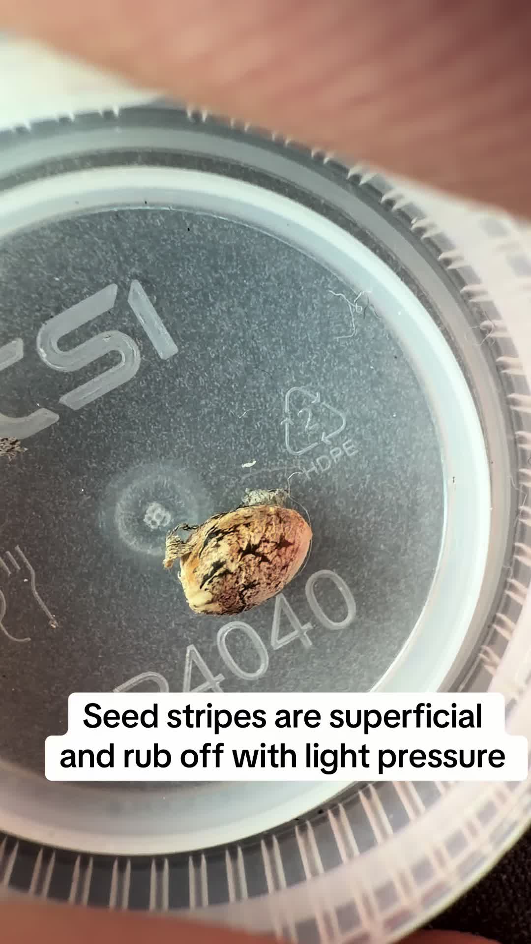 @SEEDTIVA