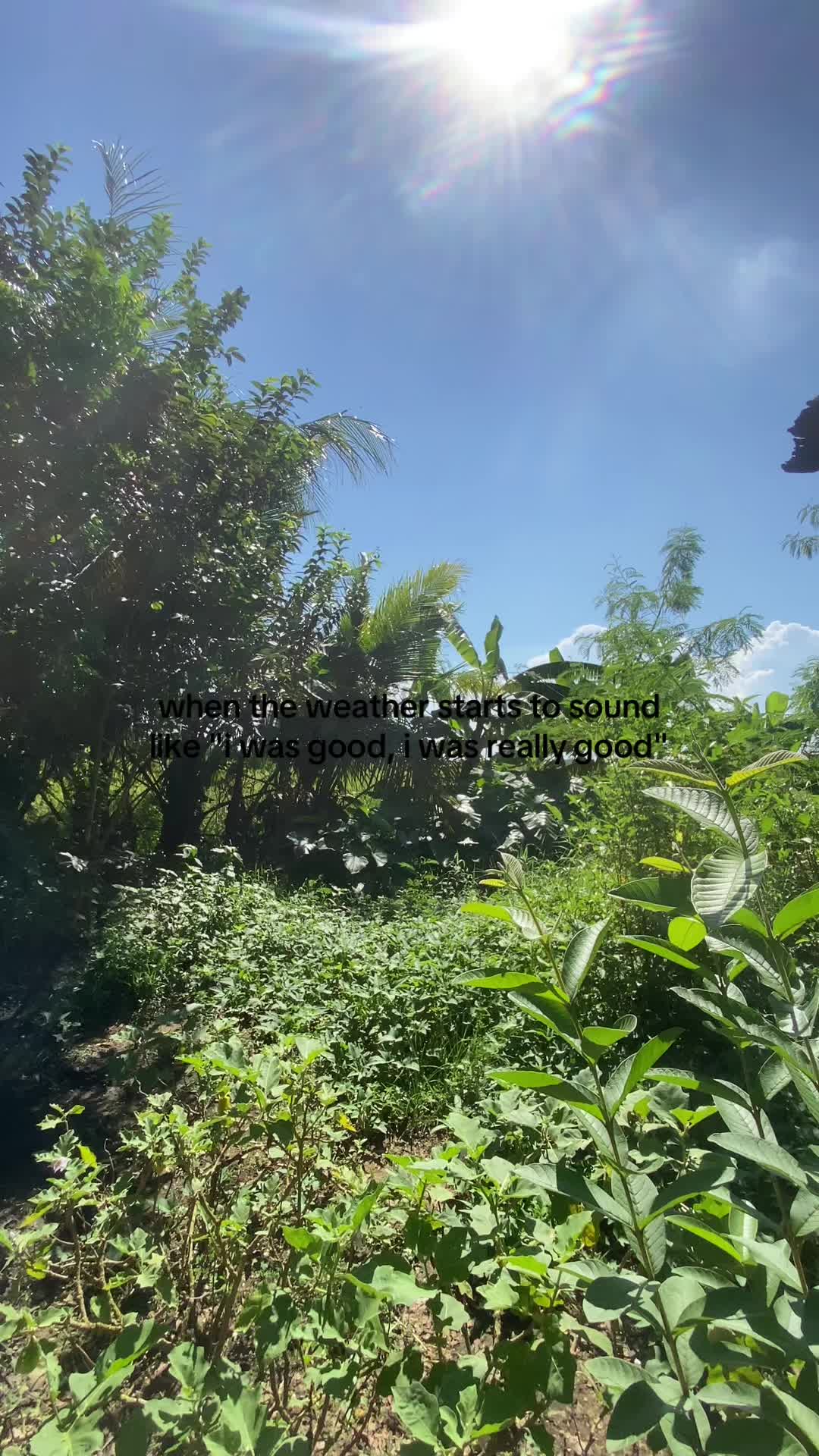 @sunlitsanctuary