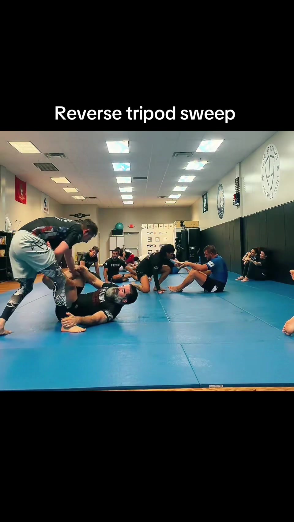 @Caron_BJJ