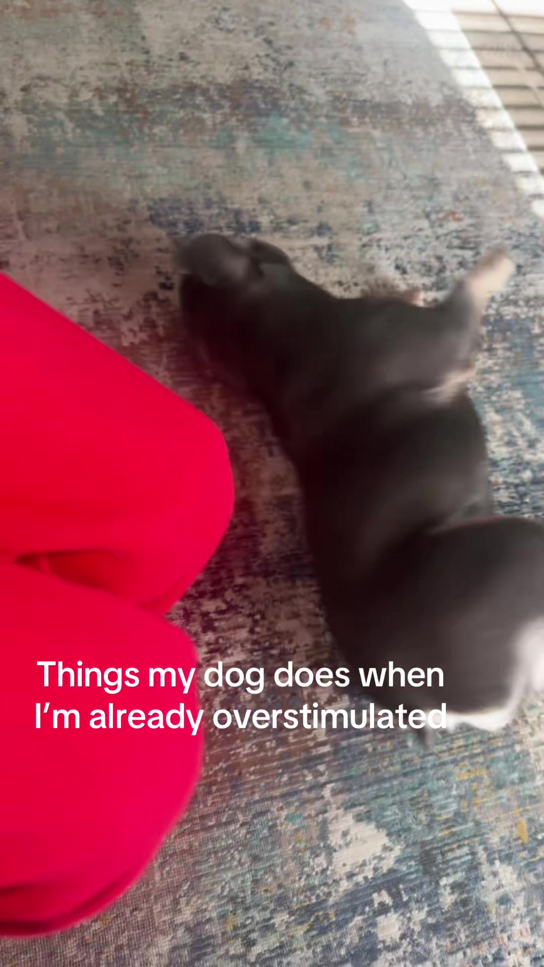 @ɪᴛsʙᴇʟʟᴀ𓂂ɞ̴̶̷ ₃ ɞ̴̶̷𓂂