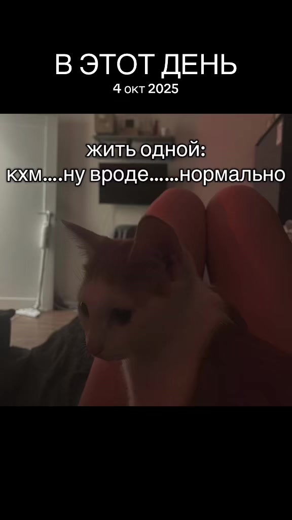 @lickedshit