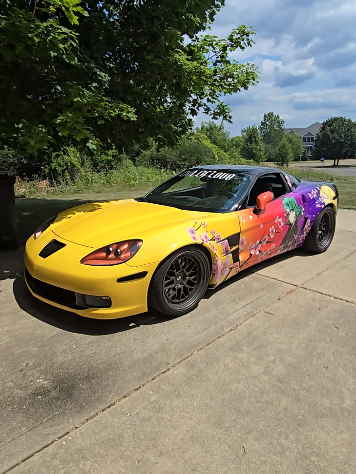 @AnimeVette