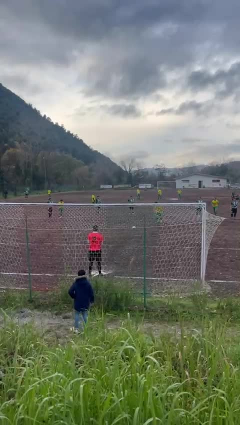 @denisceccarelli_
