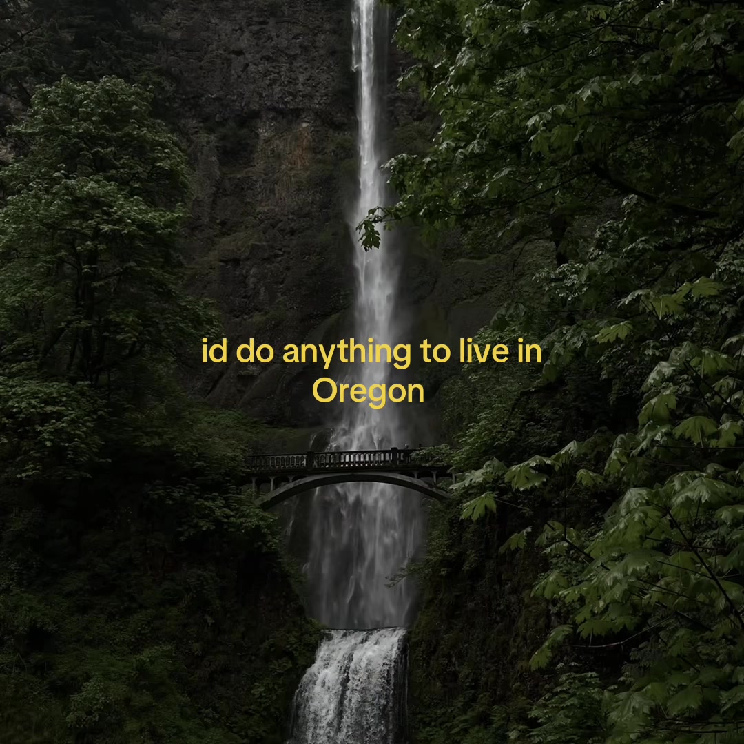 @𝐿ꨄ