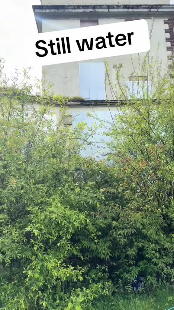 @Abandoned-709