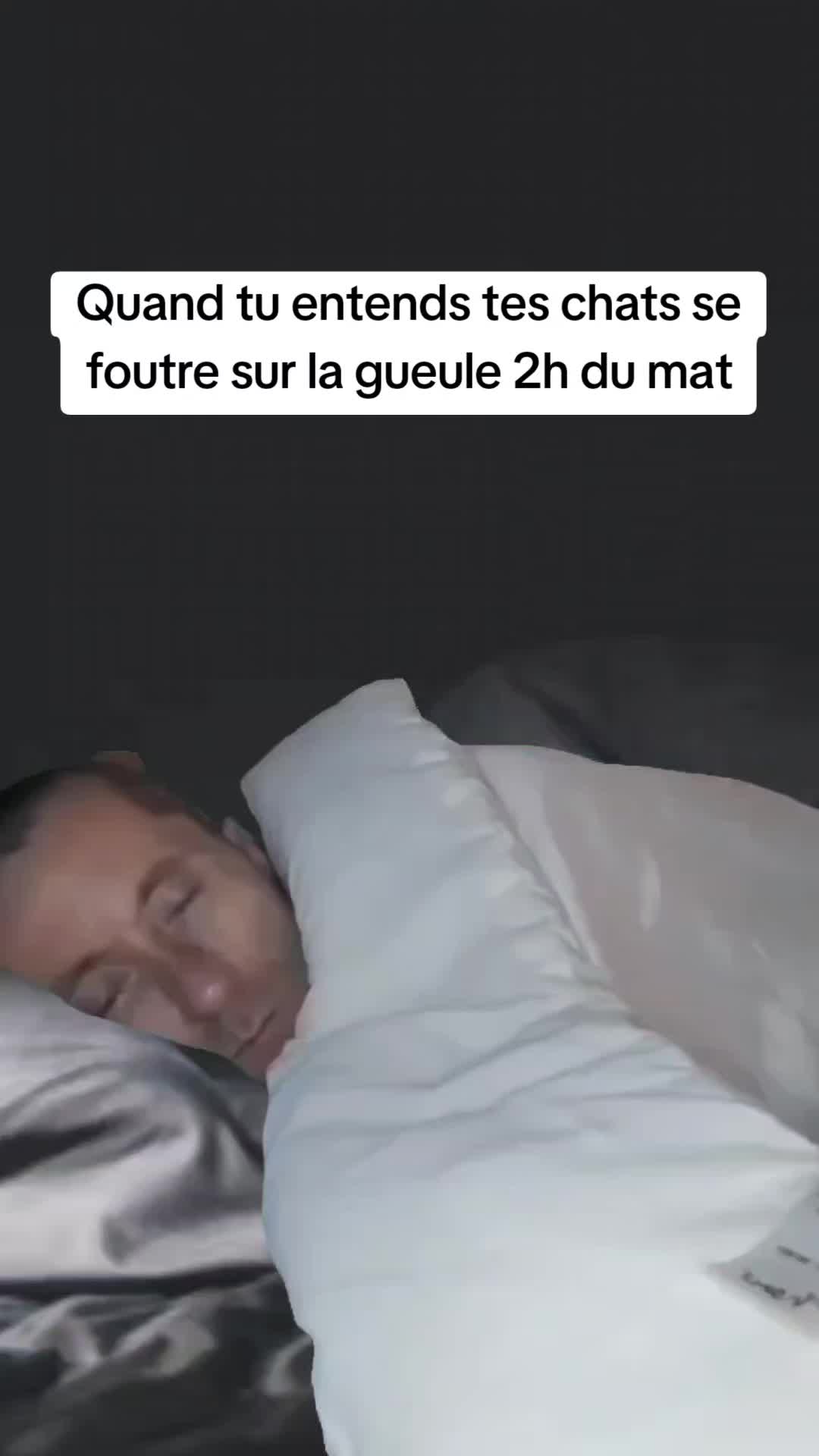 @BenjiMRT🇨🇵⚜️🚨