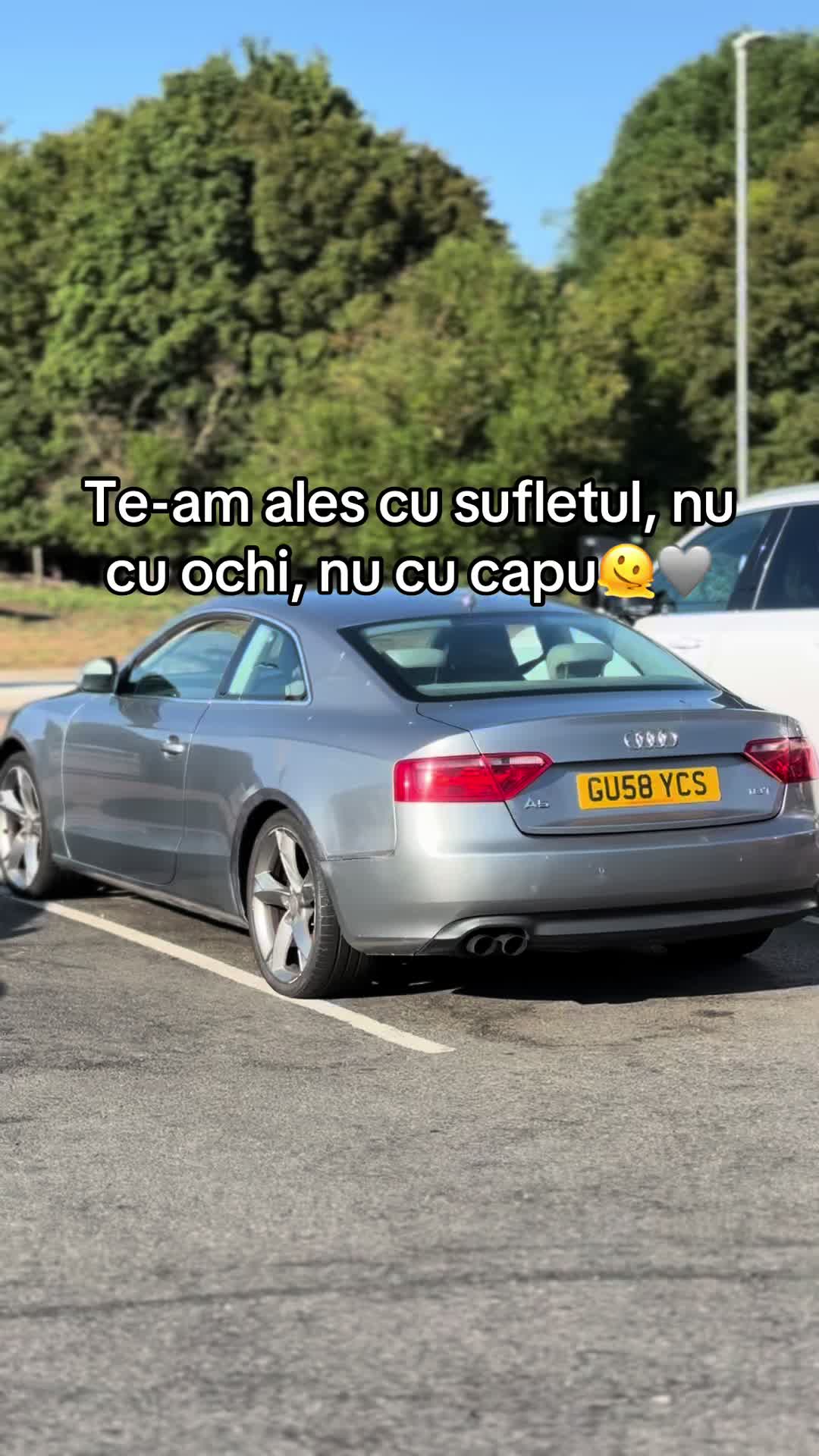 @🇦🇱🕷️