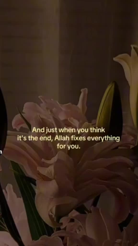 @bismillah