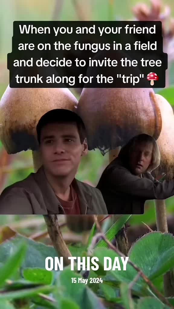 @ƑʉͫcͧкͭιͪηͣDaveyKelly88