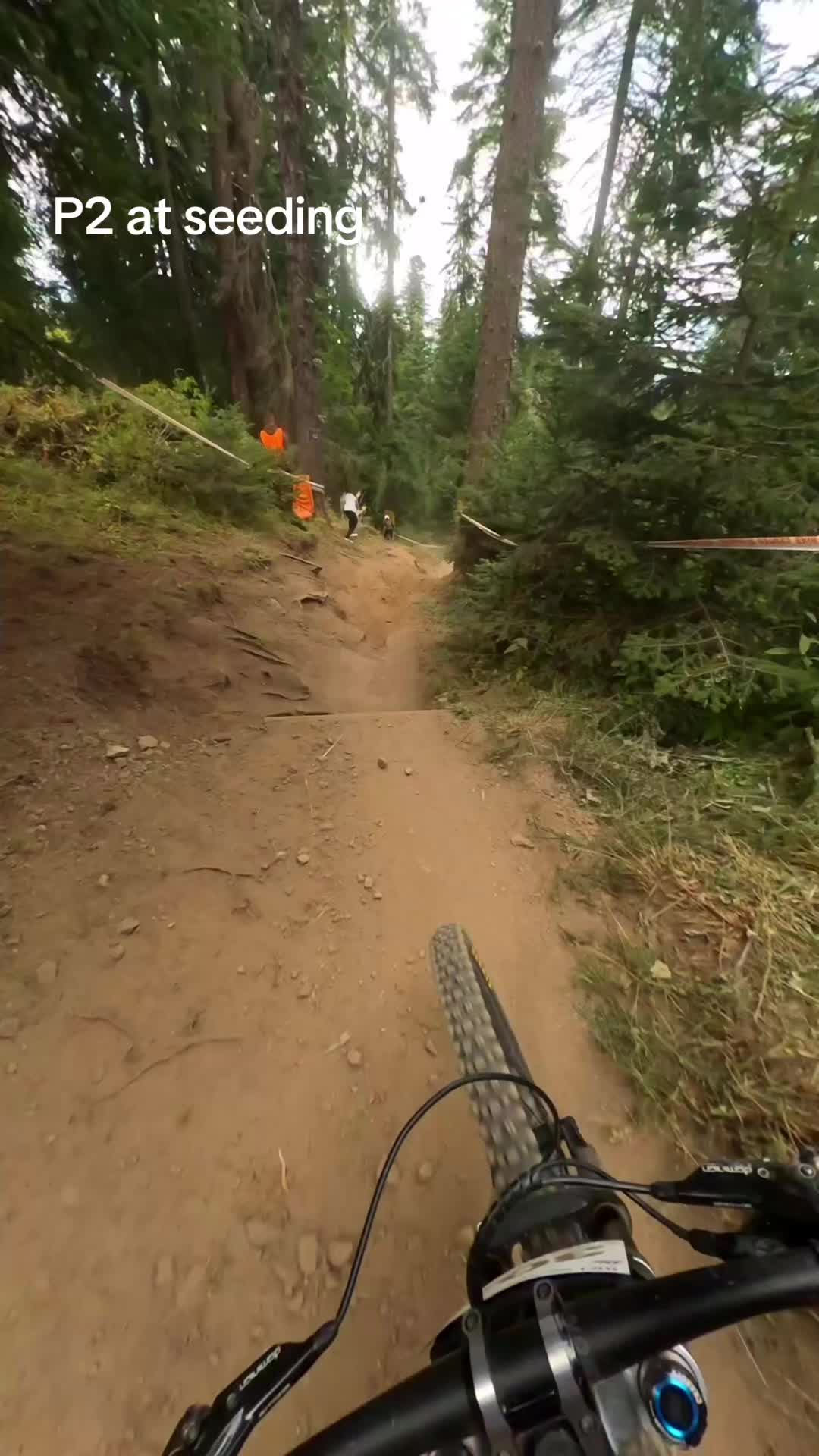 @Staywild