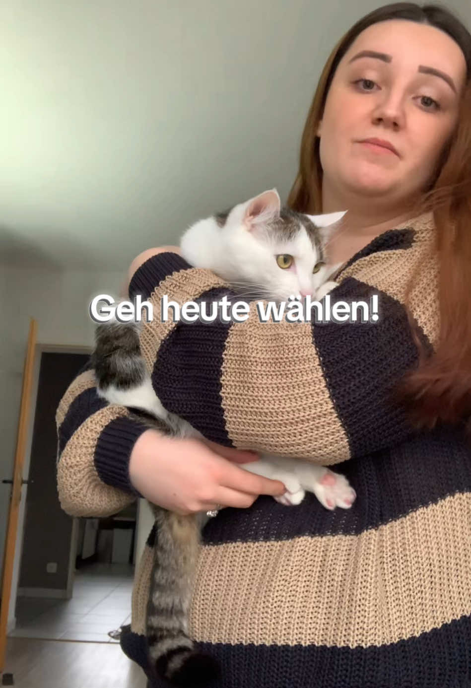 @Tyson & Cosmo🐱🐾