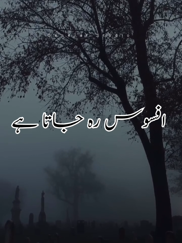 @Noor e sehar