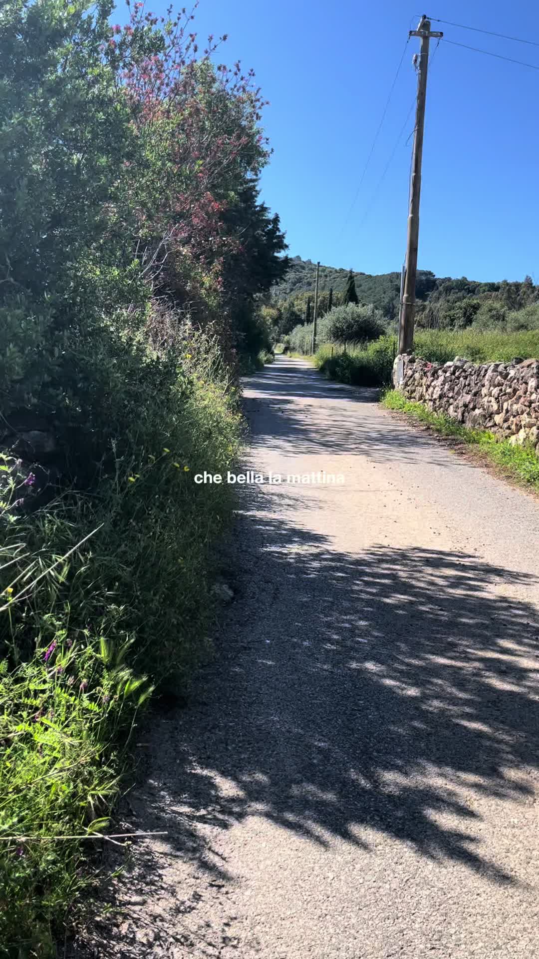 @M.