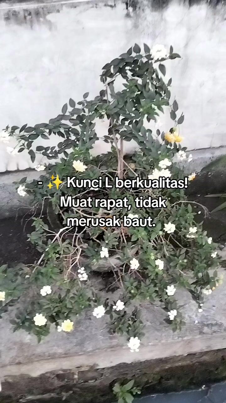 @Ayuu