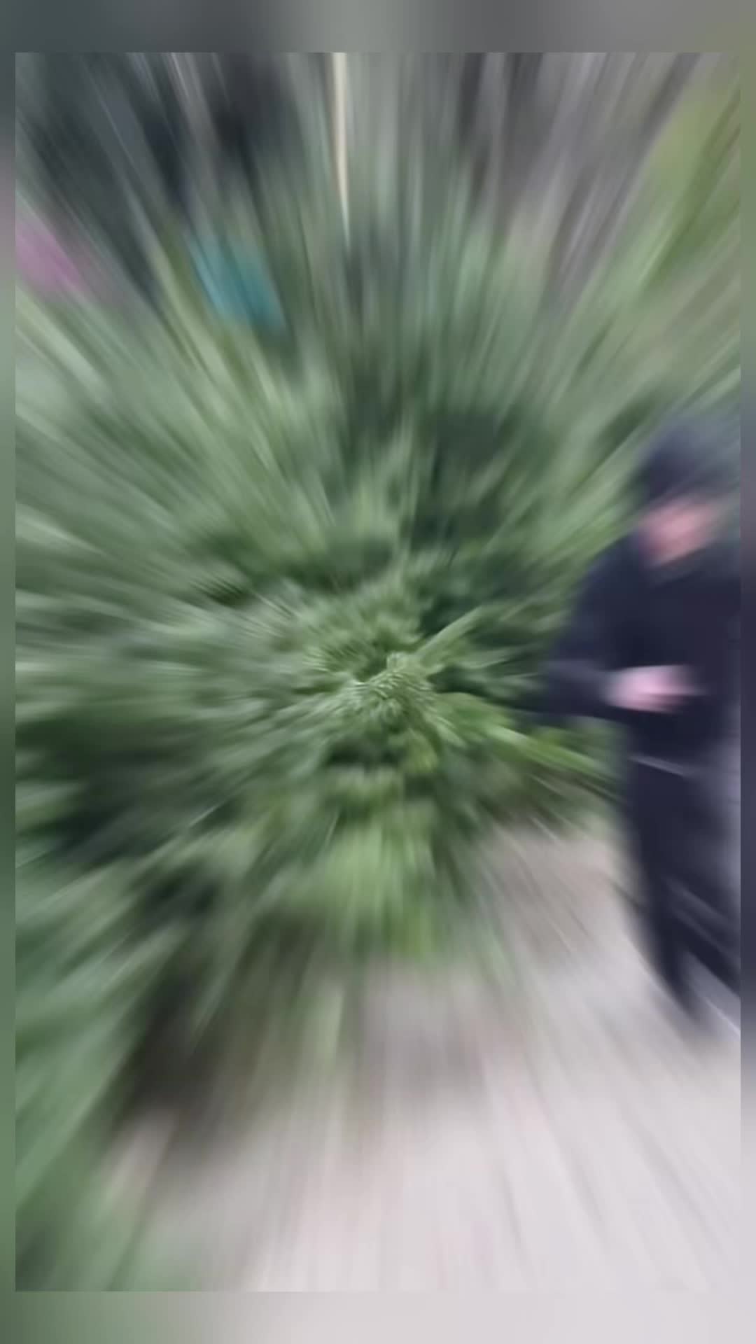 @user7790937915758