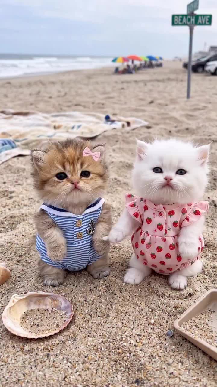 @onlinehealing