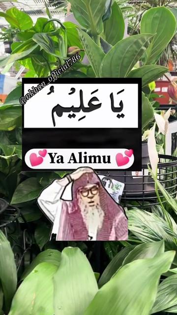 @Sister N Khan♥️