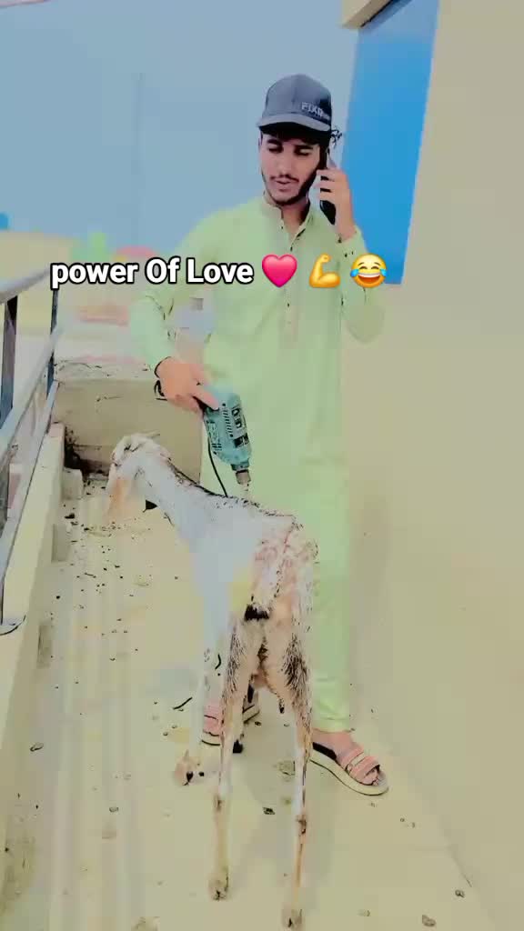 @jobifunny08