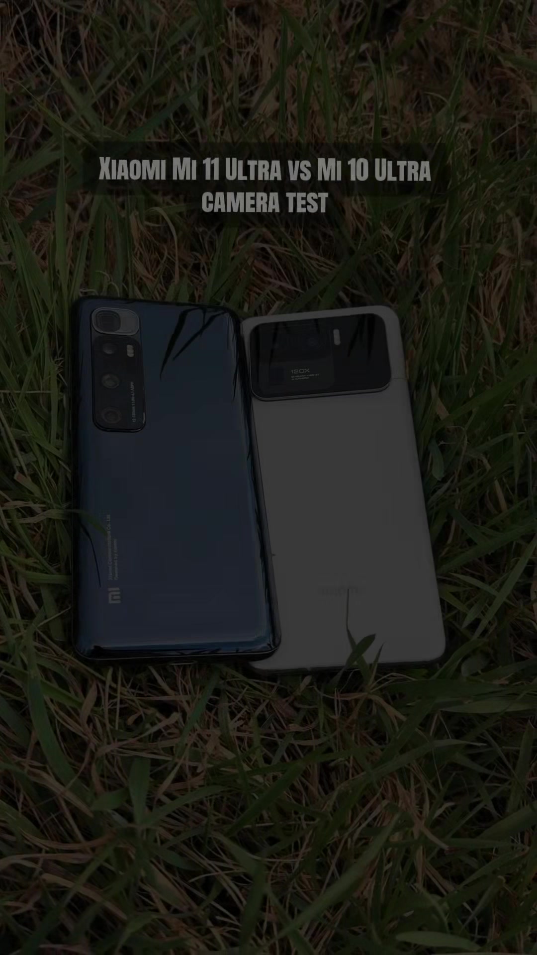 @TechtokGuyFromWish🇨🇿