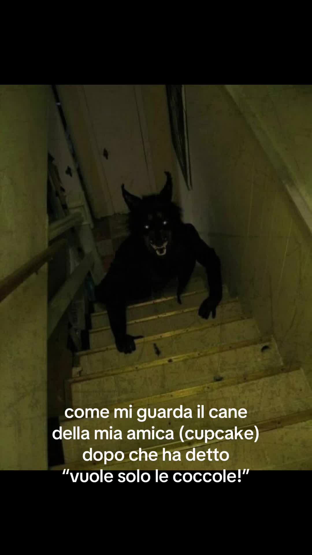 @no