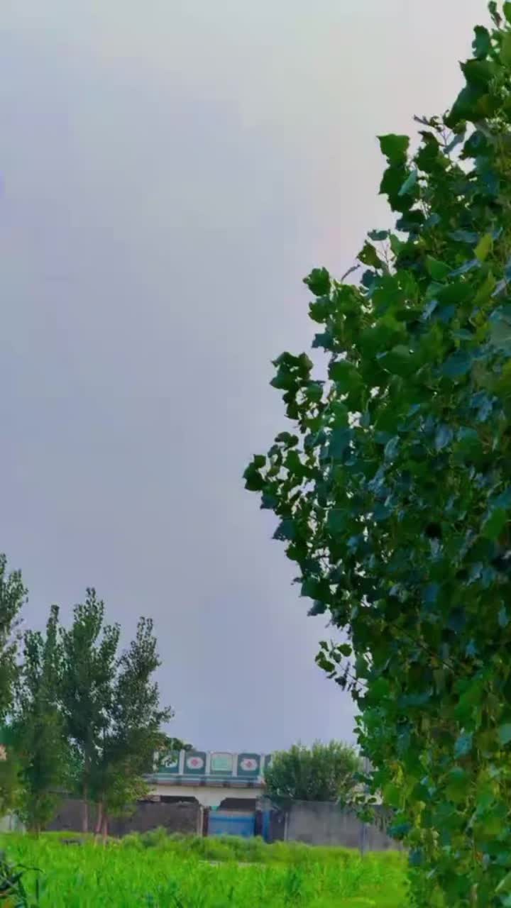 @Aisha🫶