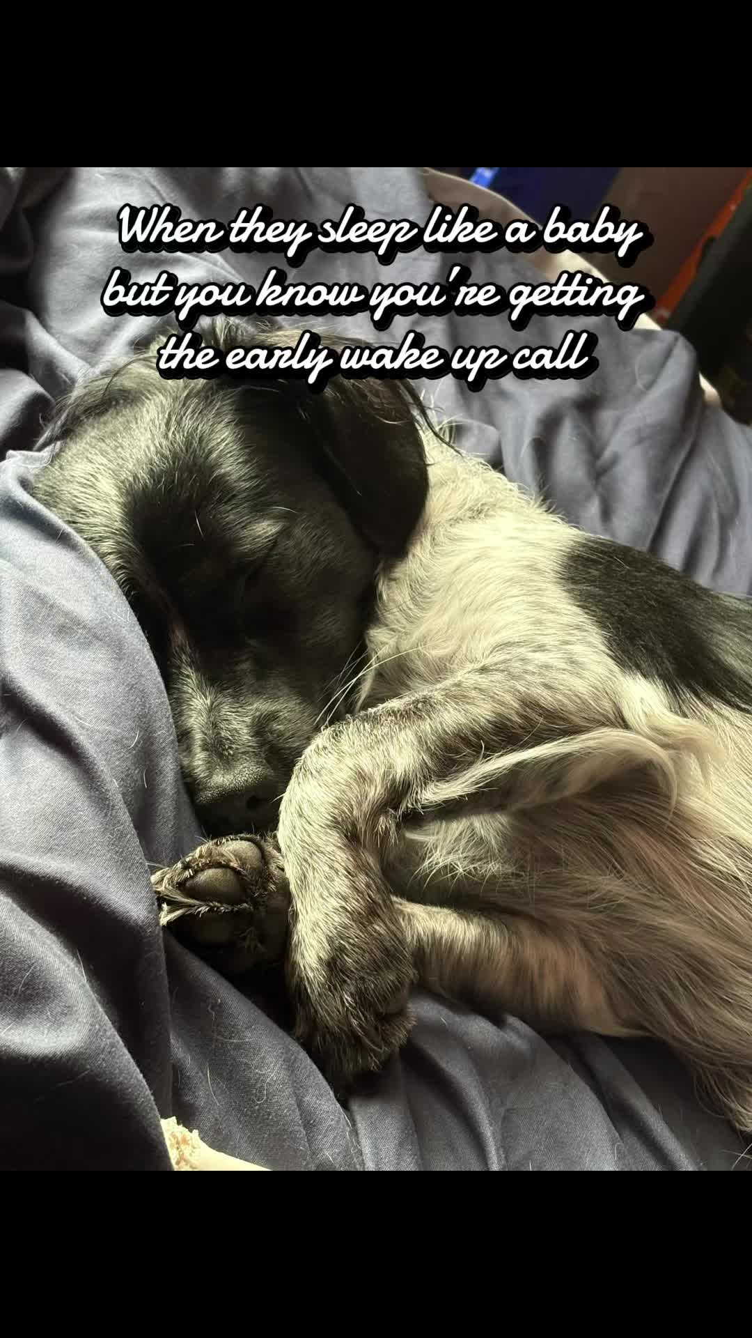 @Kirst_and_Will