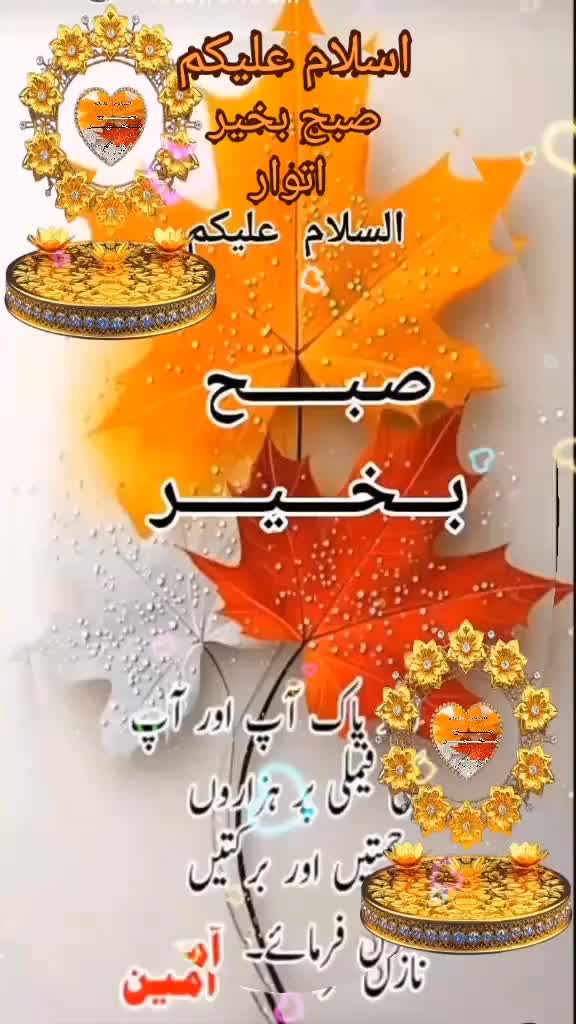 @amaan1949
