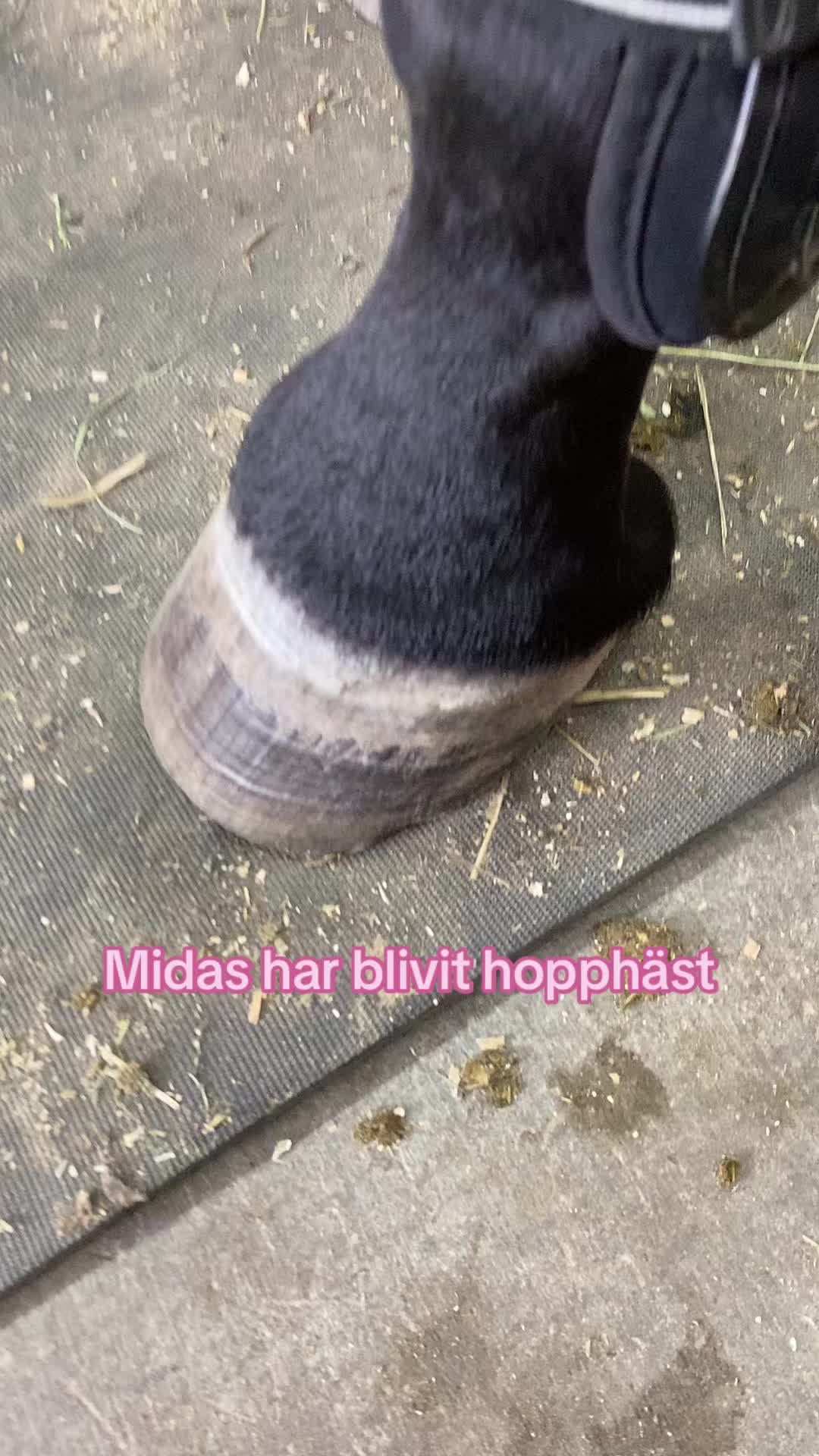 @Tuva Zettergren