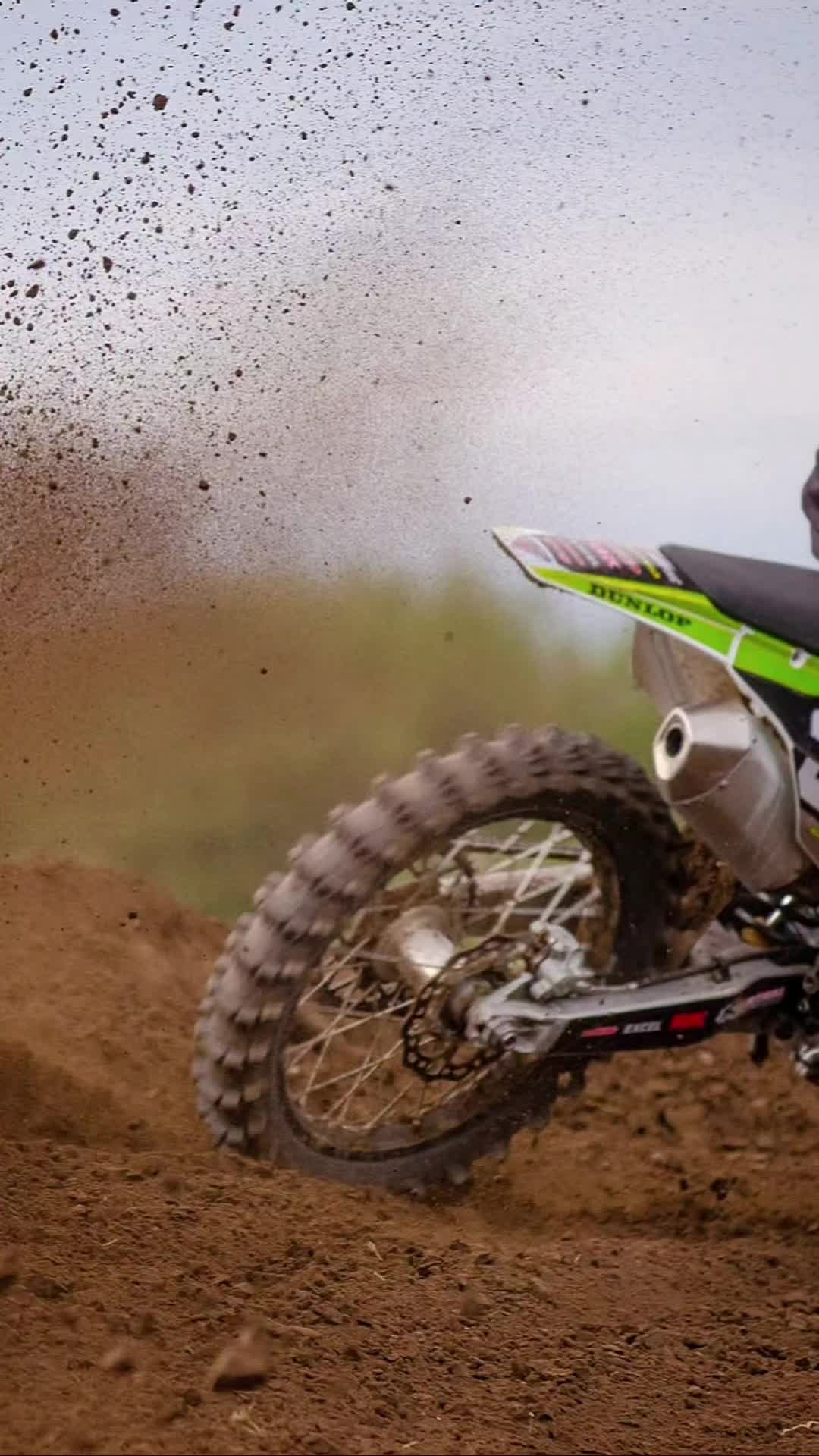 @Whitley Mx