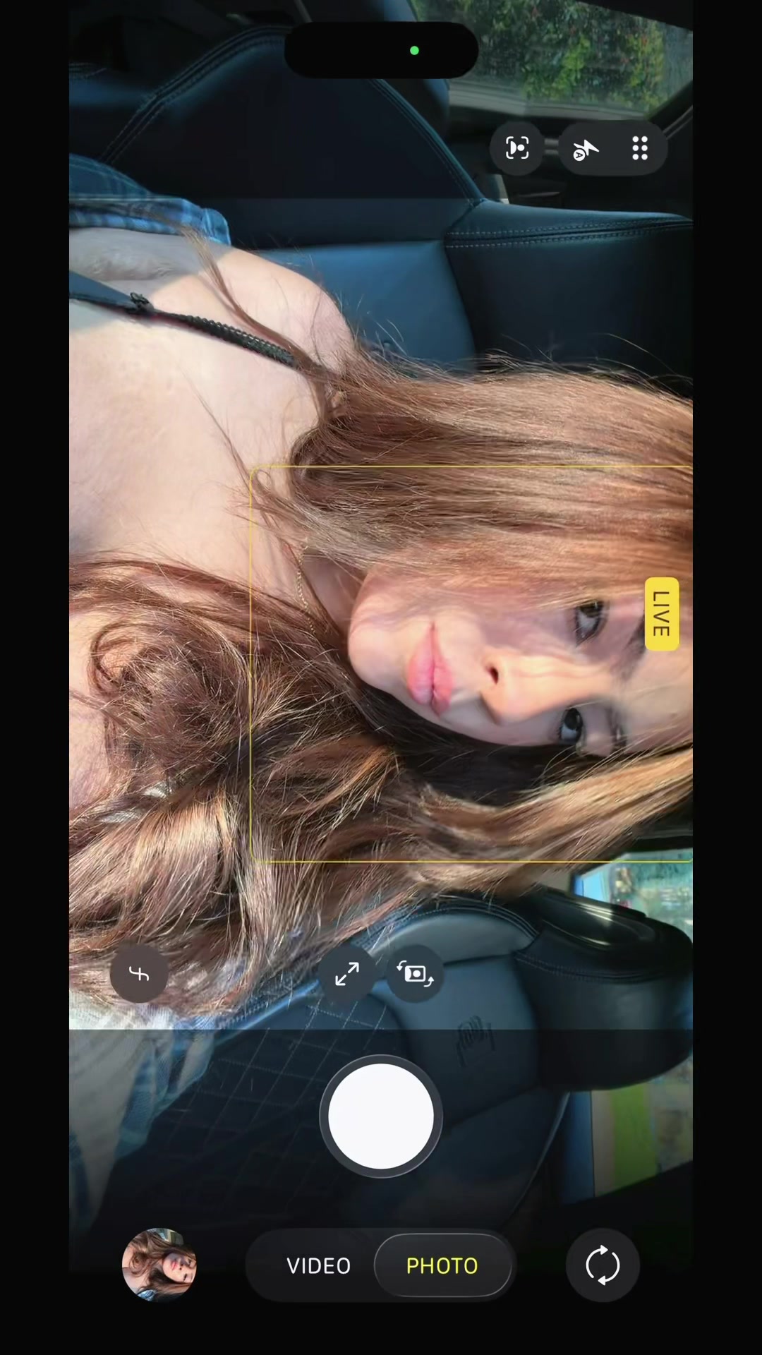 @gabbycat