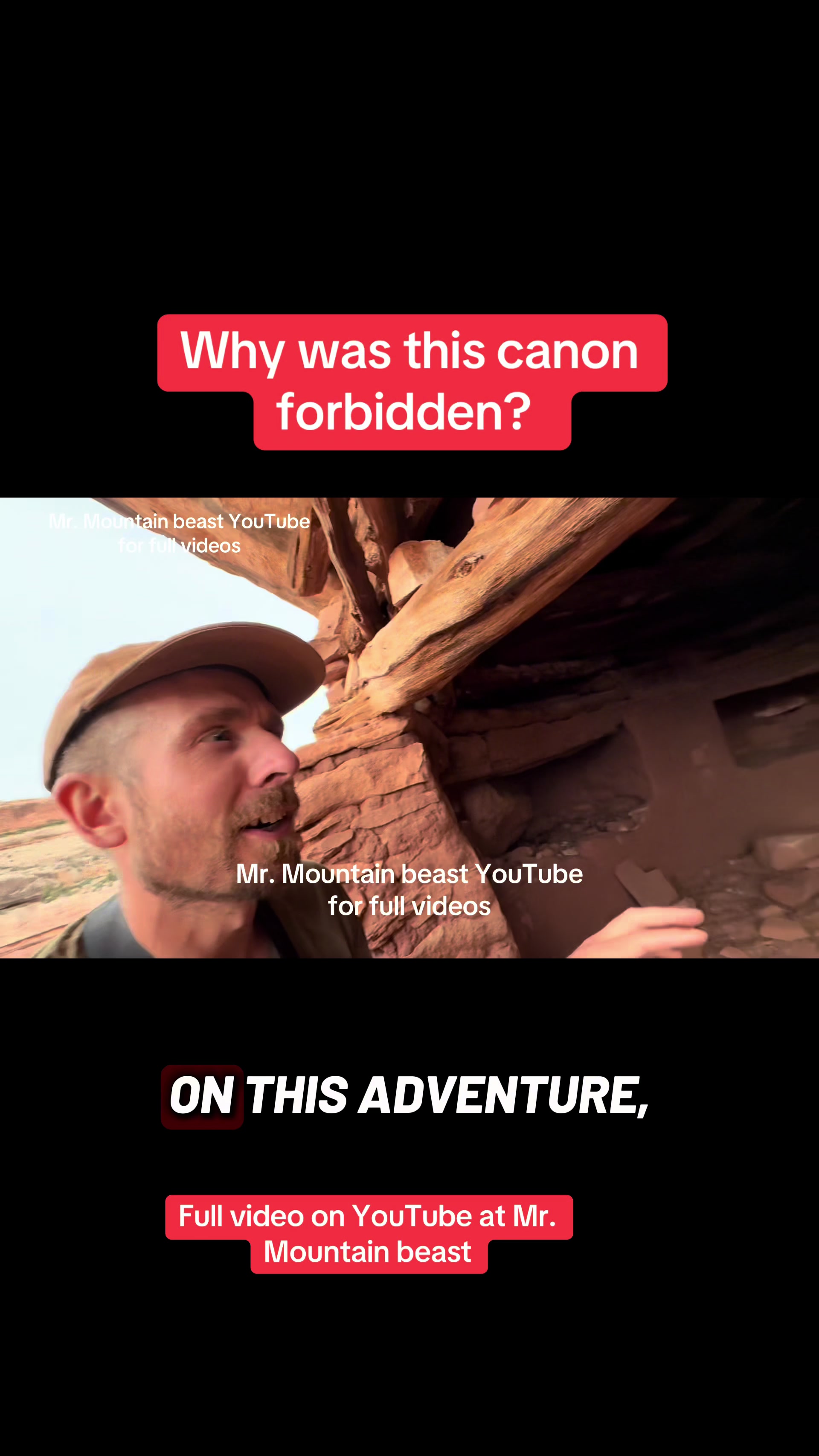 @Mr.mountainbeast