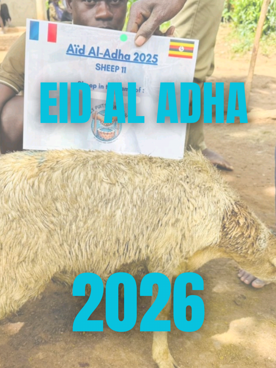 @Mugiwara No Akhi 🏴☠️🕋