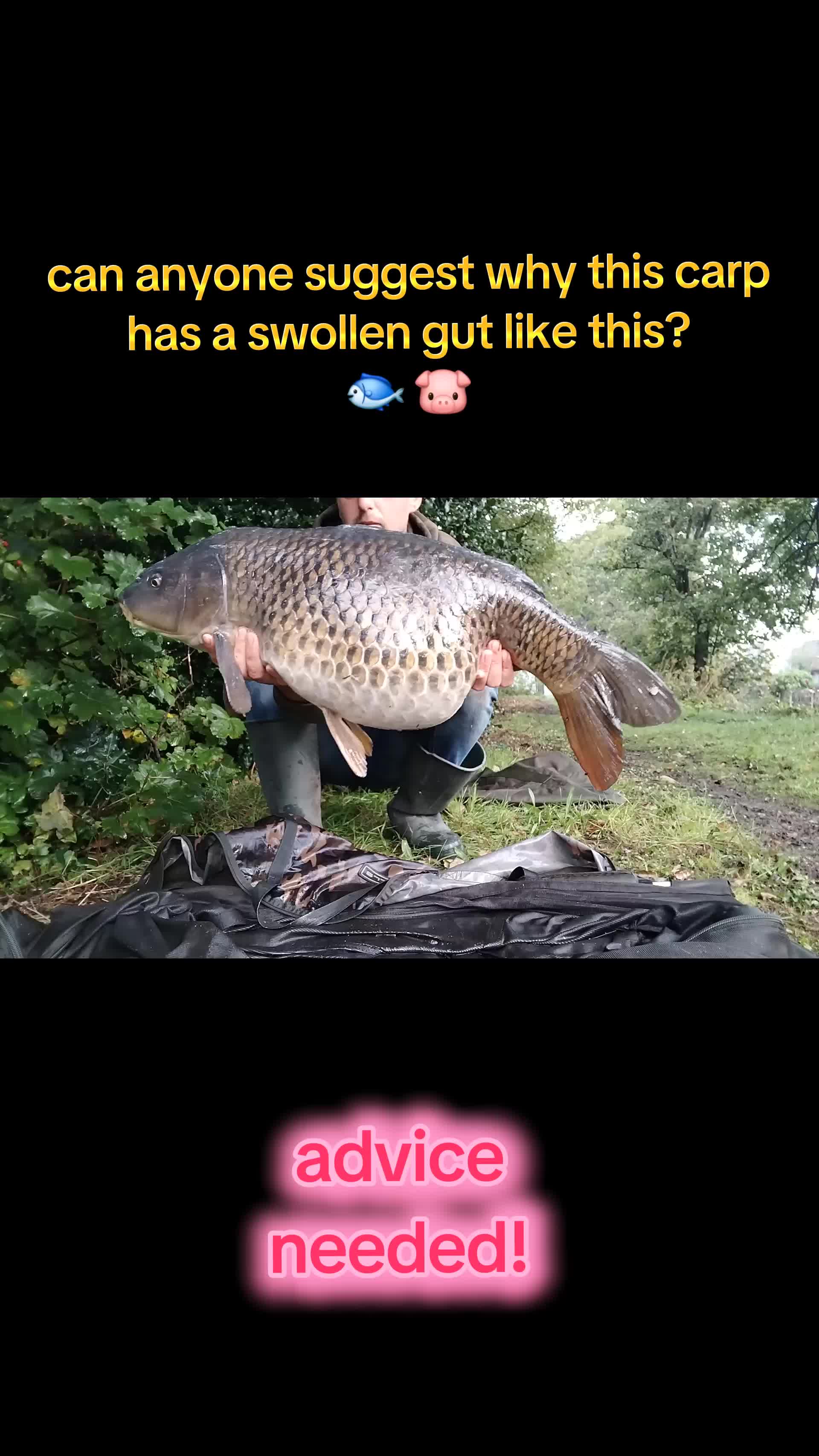 @stottys fishing official