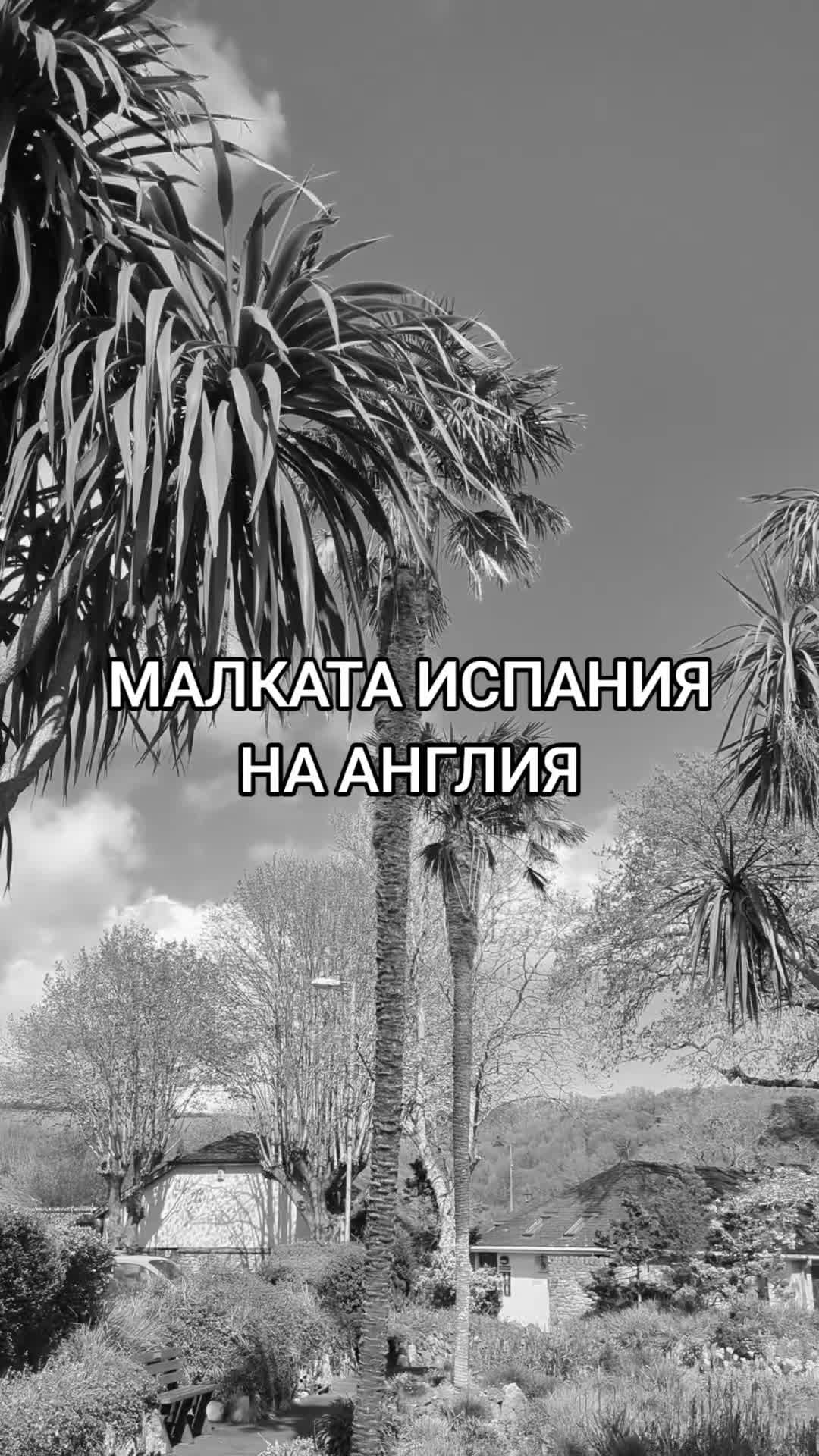 @JasiNova