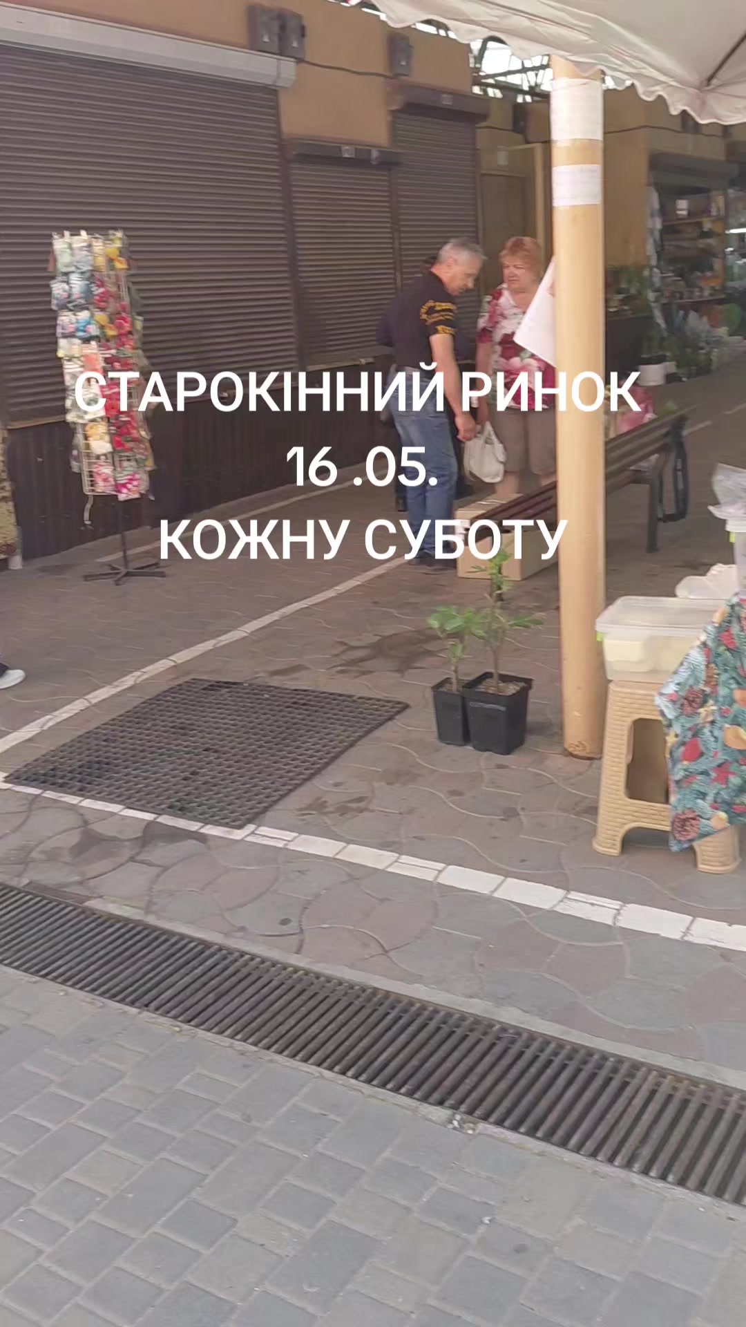 @ЗОЛОТА&ensp;РИБКА