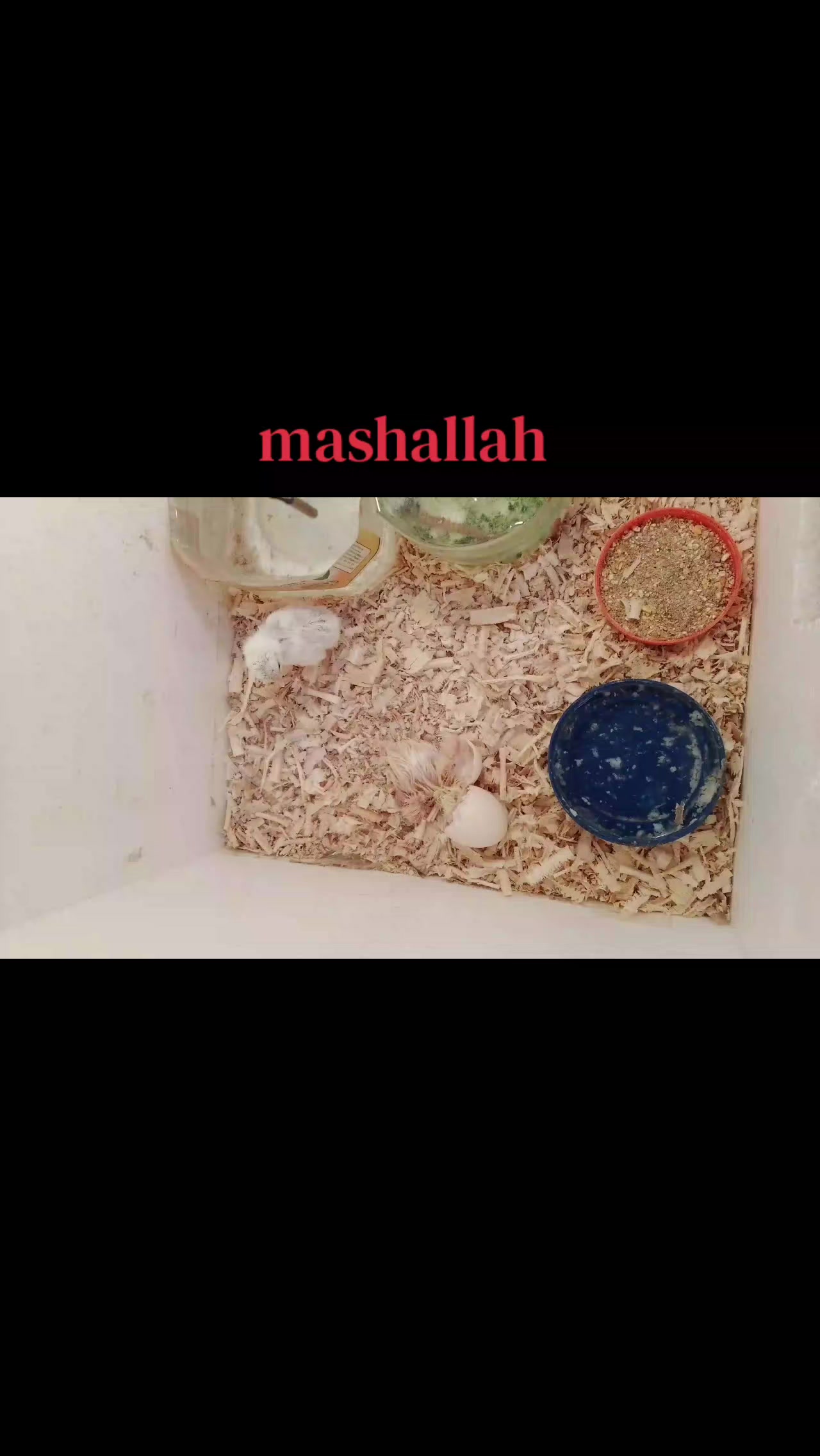 @Izhaan khan