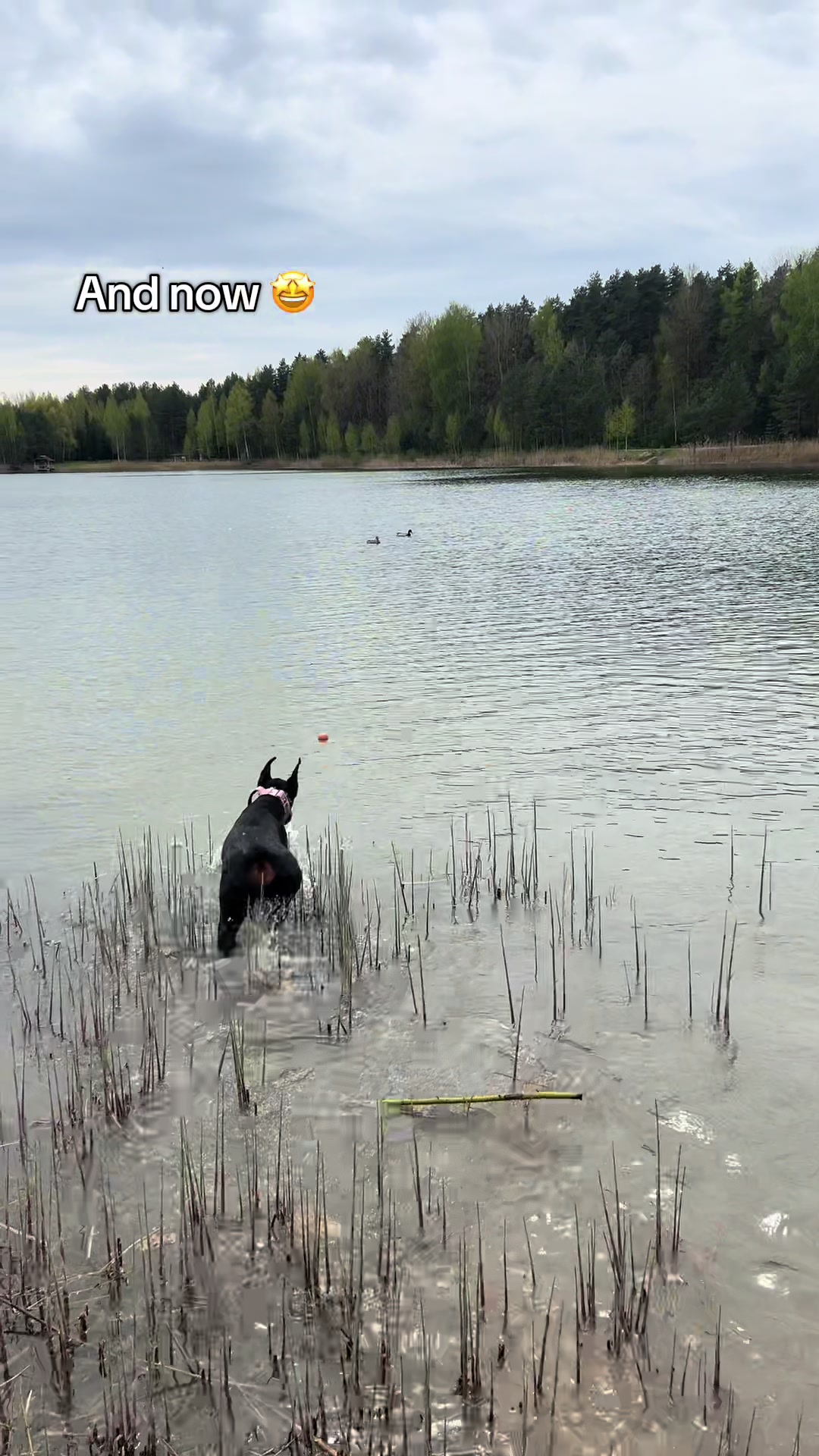 @maddieandastra