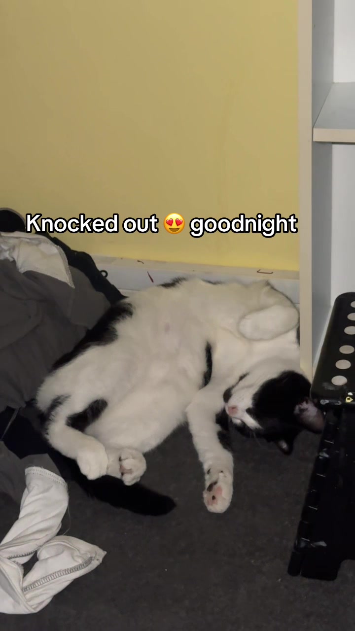 @Paigeyy