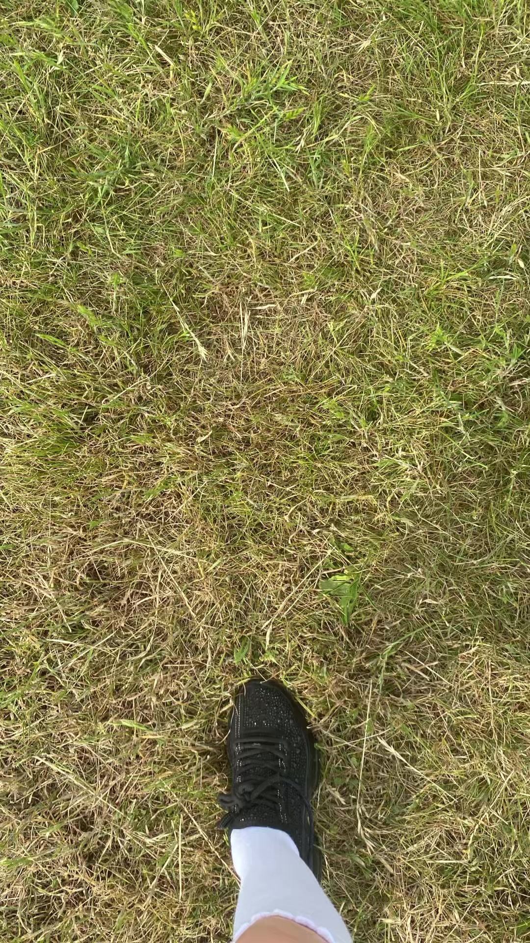 @𝙱𝚎𝚊𝚍𝚎𝚍 𝚋𝚢 𝙻𝚎𝚊 ♡
