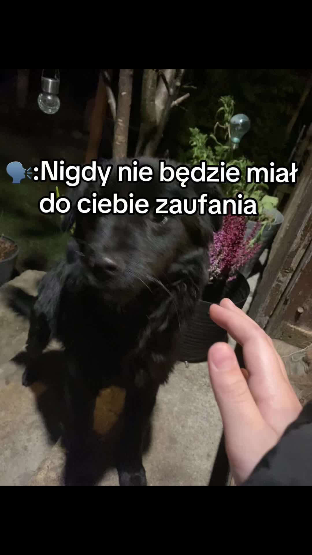 @โ๐ฉ๐๐๐๐๐&๐๐๐๐๐๐ชโ