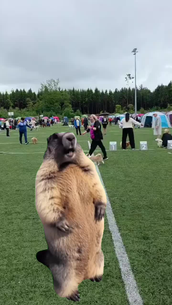@Erja