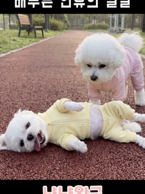 @냠냠왕국