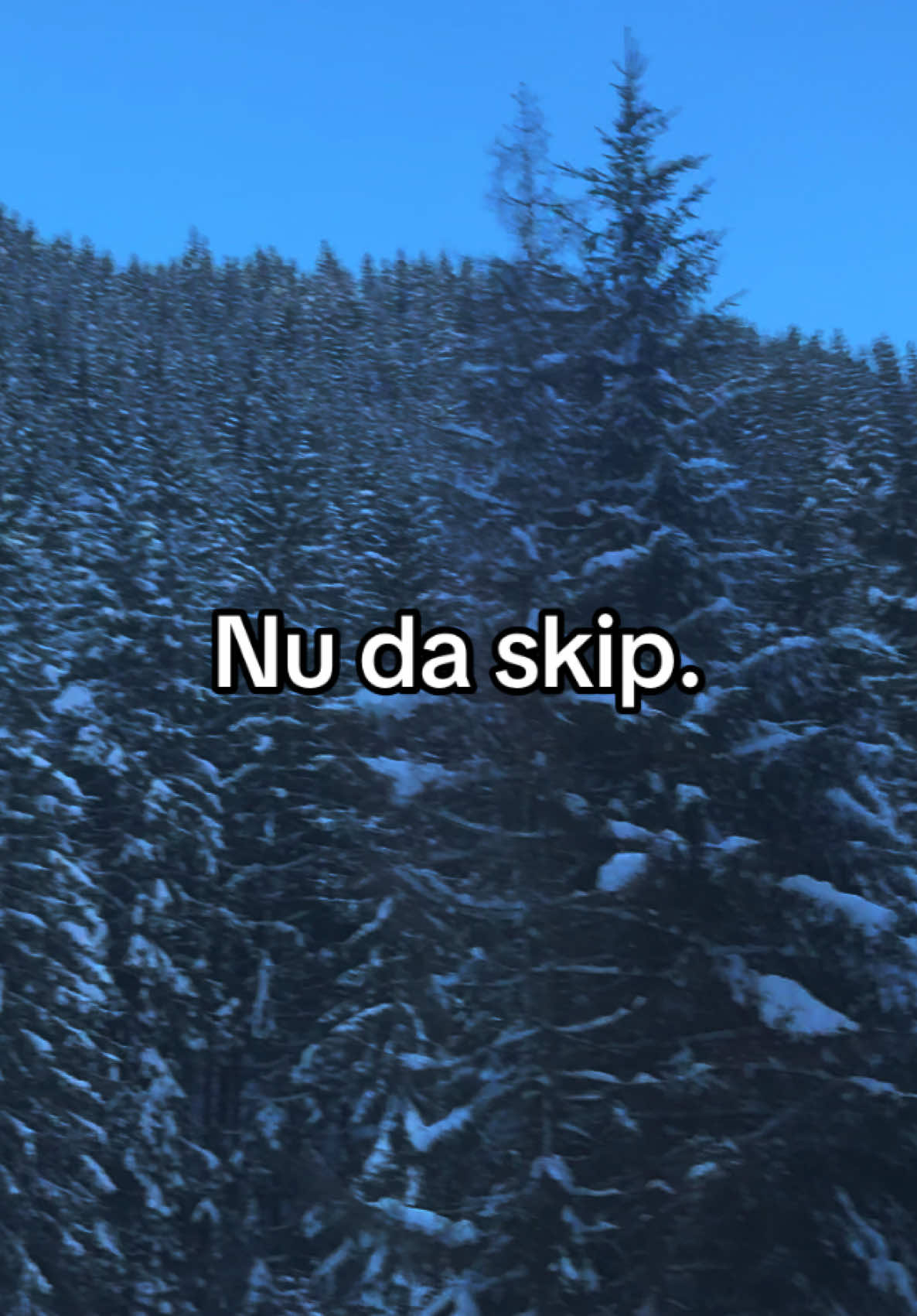 @Teodora Rus