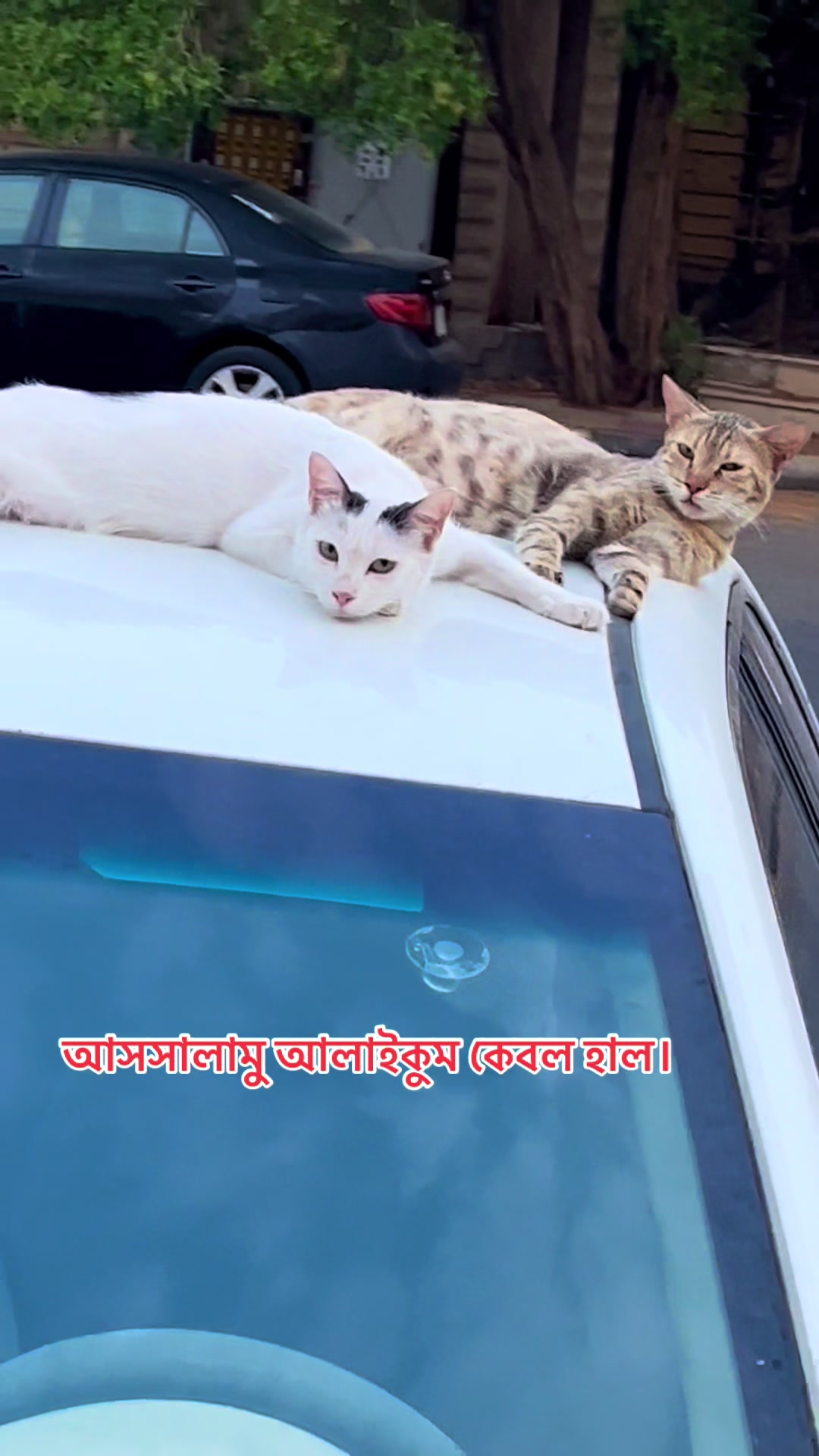 @🇧🇩তুমি ছাড়া শূন্য আমি🇸🇦