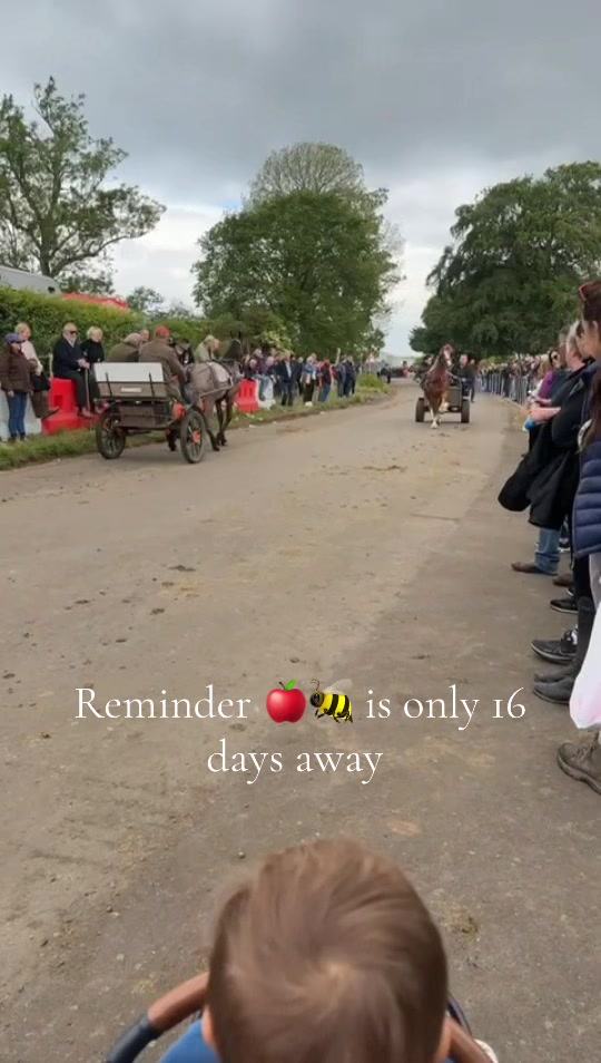 @⚜️L.P⚜️